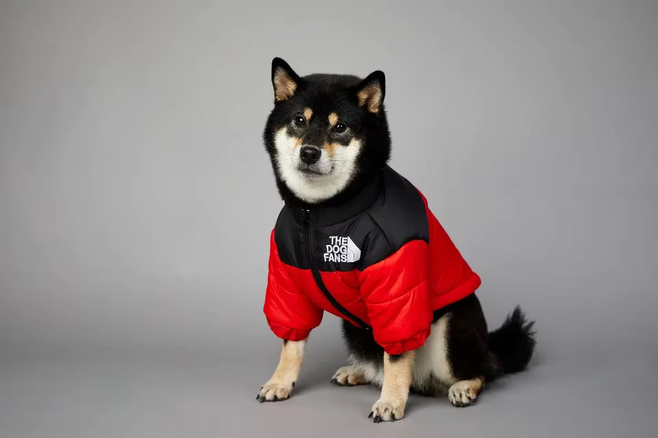 🐶🧥 Warme Hundejacke – Stylischer Schutz für kalte Tage!