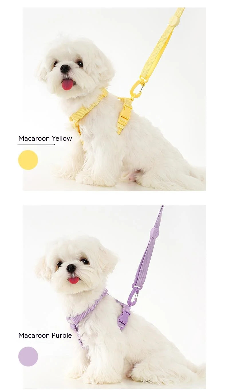 🐾🌈 Hundegeschirr Set mit Leine & Halsband – Verstellbar, Reflektierend, Pastell Macaron Farben für kleine Hunde 🐶💖