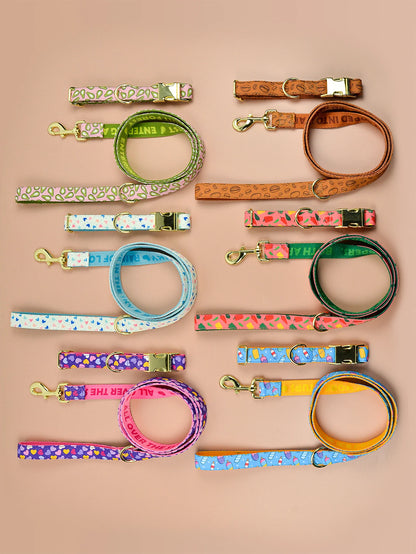 🐾 Verstellbares Luxus Hundehalsband & Leinen-Set – Bunt, Stylisch & Perfekt für den Sommer 🐶🌈☀️