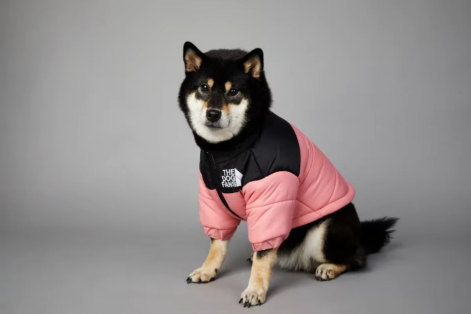 🐶🧥 Warme Hundejacke – Stylischer Schutz für kalte Tage!