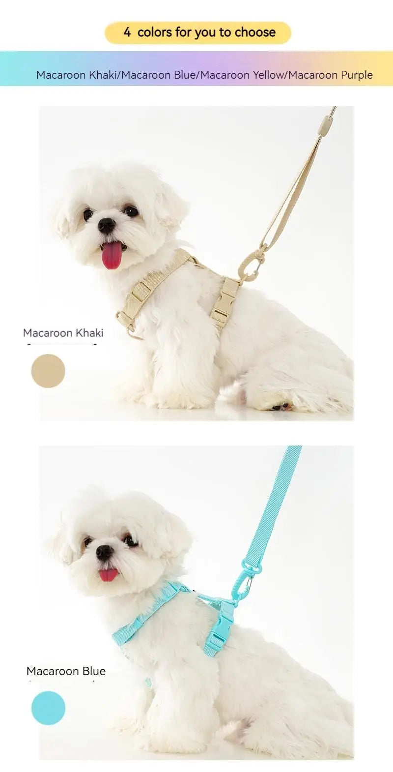 🐾🌈 Hundegeschirr Set mit Leine & Halsband – Verstellbar, Reflektierend, Pastell Macaron Farben für kleine Hunde 🐶💖