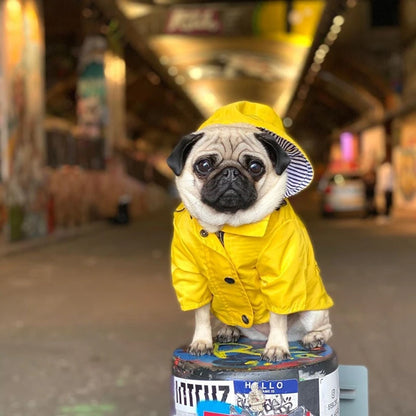 🐶✨Hundejacke – Stylisch, warm & wetterfest