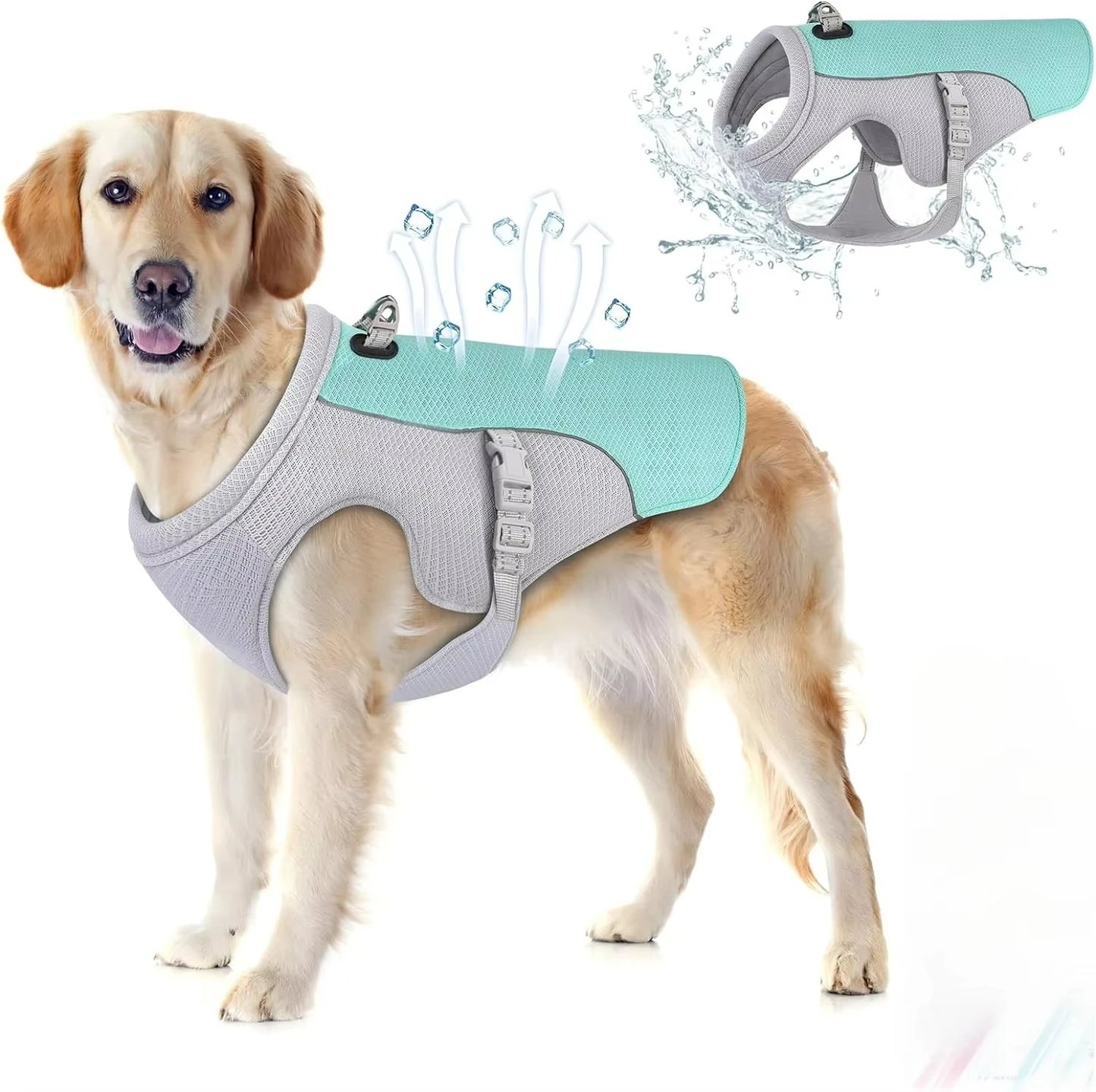 🐶❄️ Kühlweste für Hunde – Atmungsaktive Sommer-Kühlweste für heiße Tage ☀️