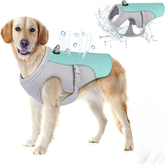 🐶❄️ Kühlweste für Hunde – Atmungsaktive Sommer-Kühlweste für heiße Tage ☀️