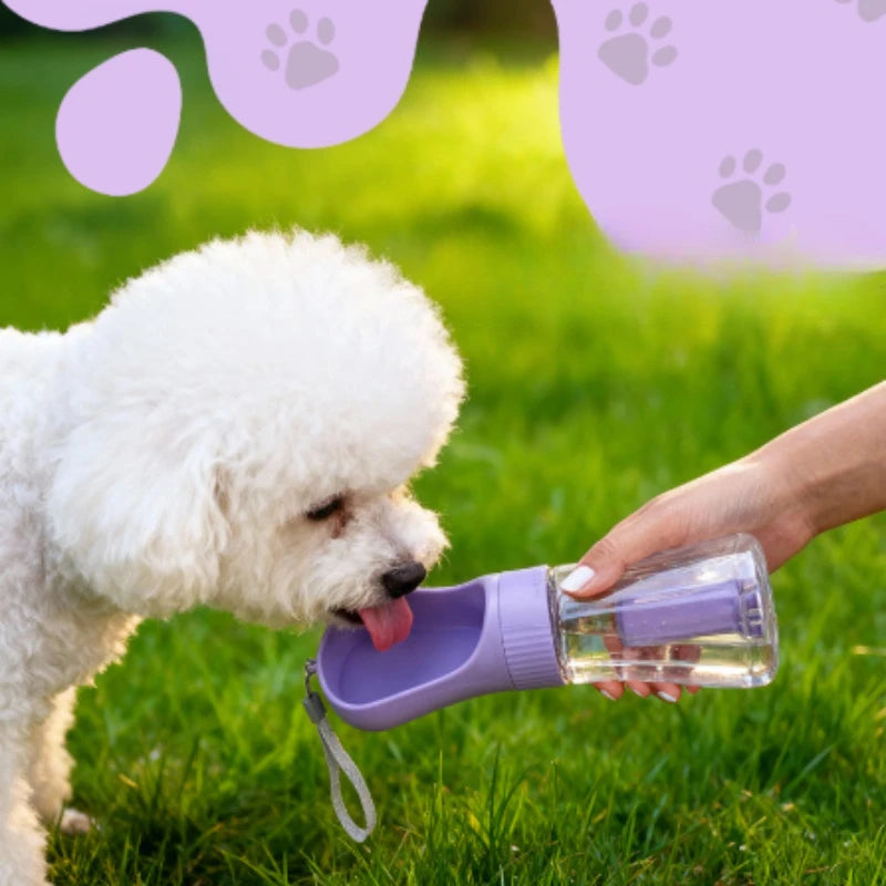 🐾 3-in-1 Trinkflasche für unterwegs – Alles, was dein Liebling braucht! 🐶💧
