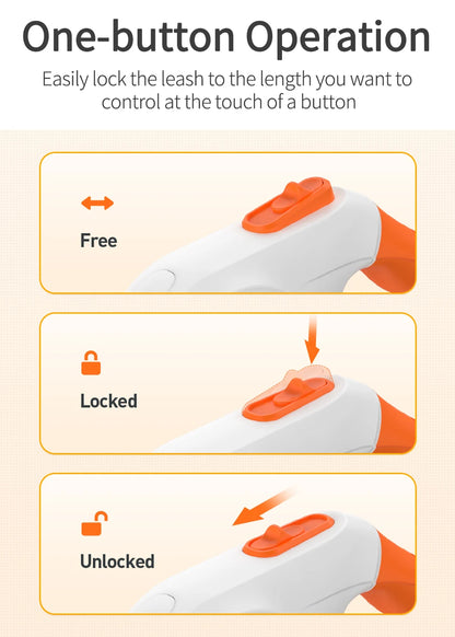 🌟 Automatische LED Hundeleine – Leuchtend, Stylisch & Flexibel für Spaziergänge & Abenteuer 🐶💡