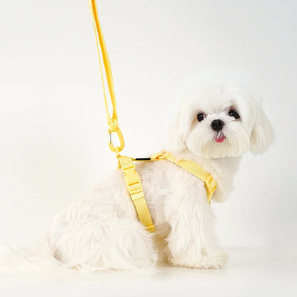 🐾🌈 Hundegeschirr Set mit Leine & Halsband – Verstellbar, Reflektierend, Pastell Macaron Farben für kleine Hunde 🐶💖