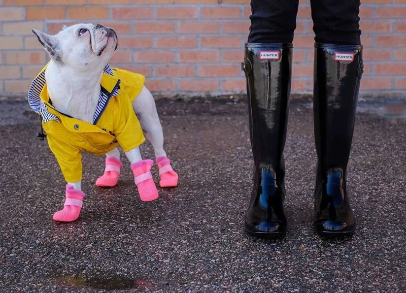 🐶✨Hundejacke – Stylisch, warm & wetterfest