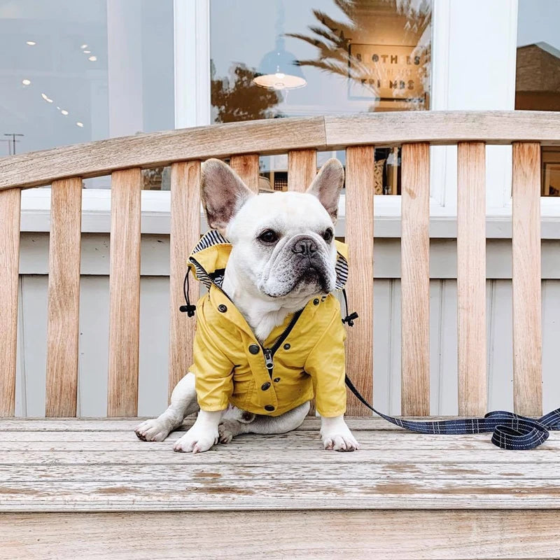 🐶✨Hundejacke – Stylisch, warm & wetterfest