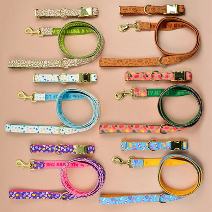 🐾 Verstellbares Luxus Hundehalsband & Leinen-Set – Bunt, Stylisch & Perfekt für den Sommer 🐶🌈☀️