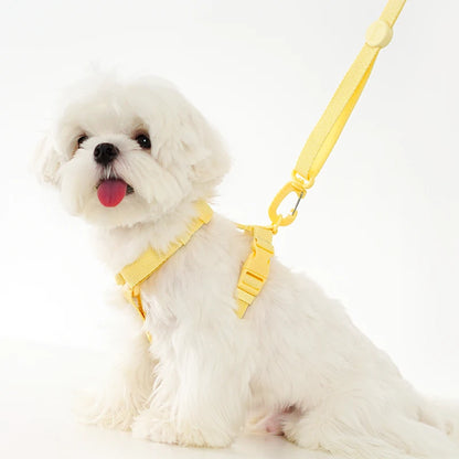 🐾🌈 Hundegeschirr Set mit Leine & Halsband – Verstellbar, Reflektierend, Pastell Macaron Farben für kleine Hunde 🐶💖