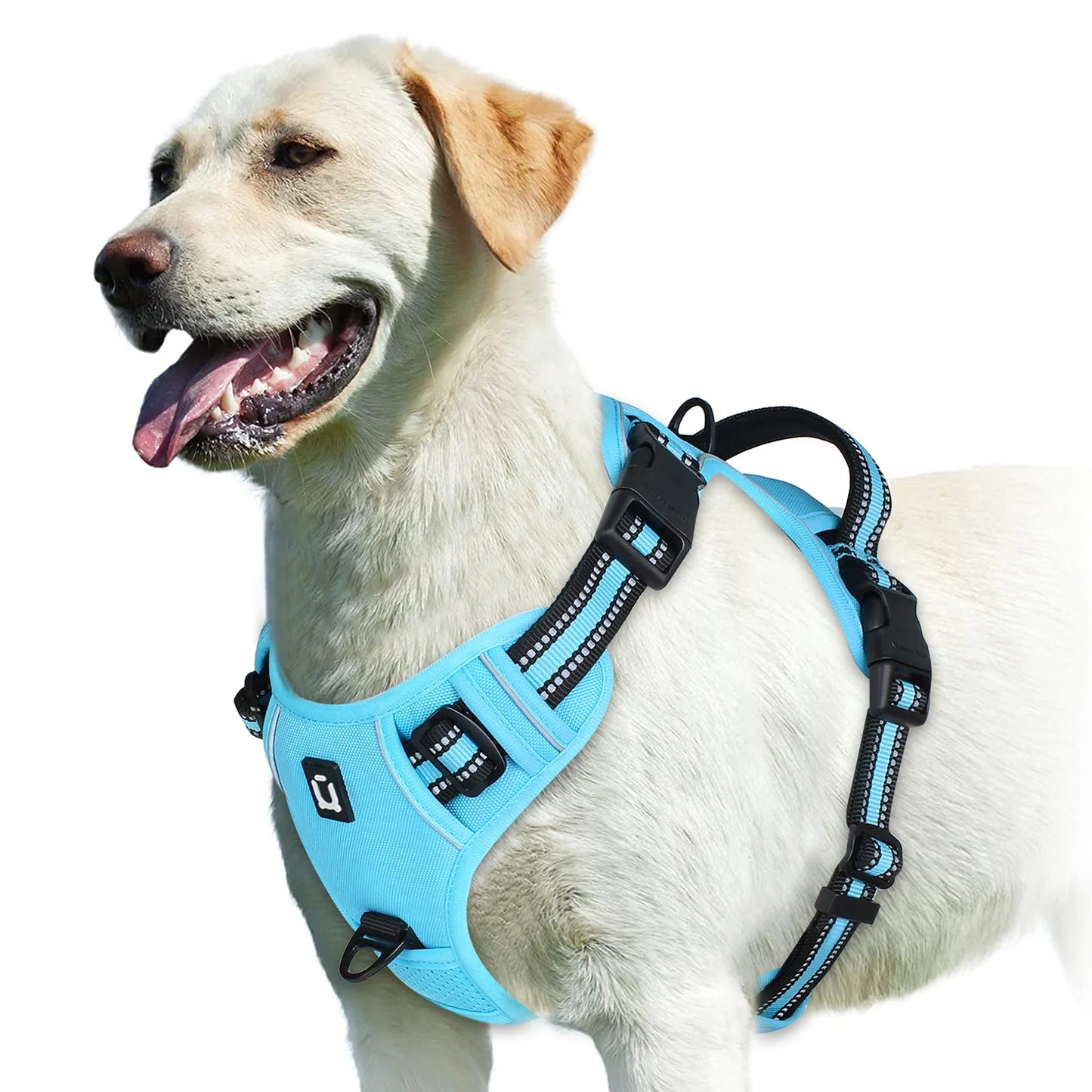 🐾💪 No-Pull Hundegeschirr – Gepolstertes Brustgeschirr mit Griff für volle Kontrolle 🐶🦺
