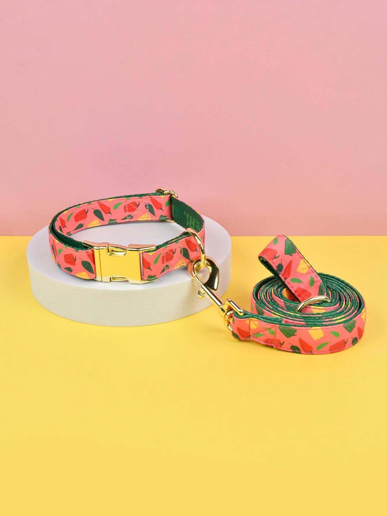 🐾 Verstellbares Luxus Hundehalsband & Leinen-Set – Bunt, Stylisch & Perfekt für den Sommer 🐶🌈☀️