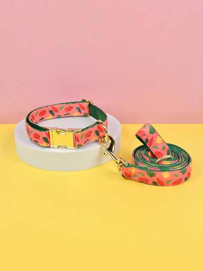 🐾 Verstellbares Luxus Hundehalsband & Leinen-Set – Bunt, Stylisch & Perfekt für den Sommer 🐶🌈☀️