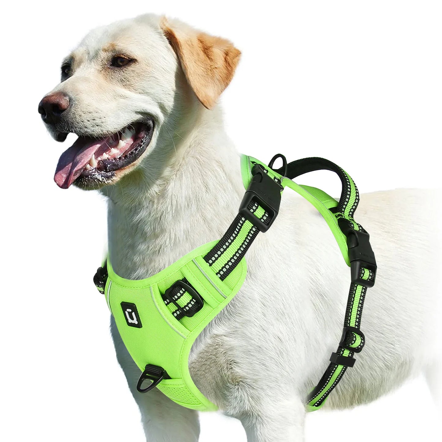 🐾💪 No-Pull Hundegeschirr – Gepolstertes Brustgeschirr mit Griff für volle Kontrolle 🐶🦺