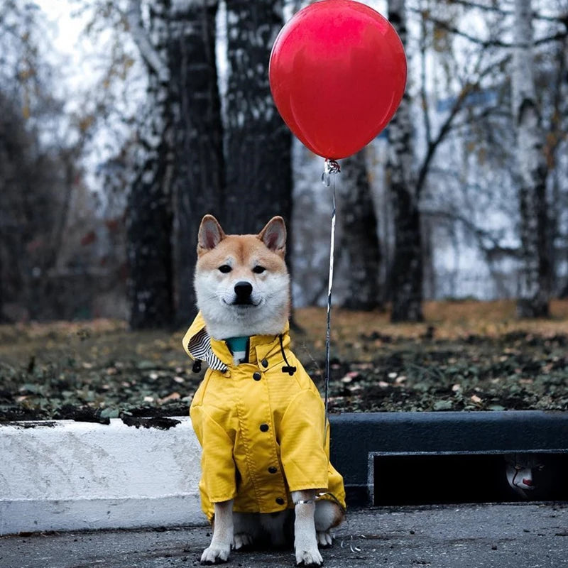 🐶✨Hundejacke – Stylisch, warm & wetterfest