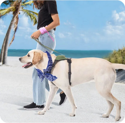 🐶❄️ Kühlendes Haustier-Halstuch – Erfrischendes Cooling-Tuch für Hunde