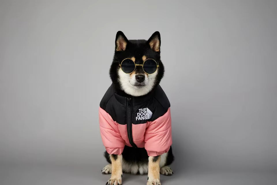 🐶🧥 Warme Hundejacke – Stylischer Schutz für kalte Tage!