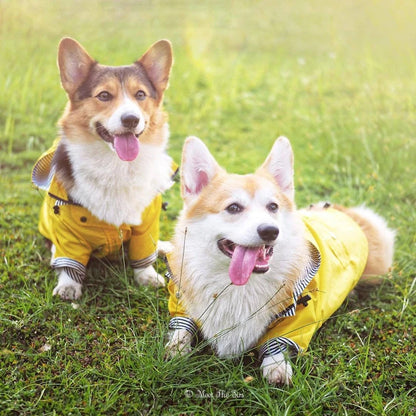 🐶✨Hundejacke – Stylisch, warm & wetterfest