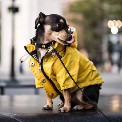 🐶✨Hundejacke – Stylisch, warm & wetterfest