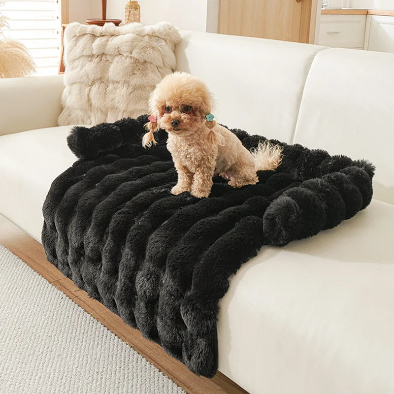 🐾 Kuschelige Haustier-Auflage – Weich, Warm &amp; Perfekt fürs Sofa 🐶🐱