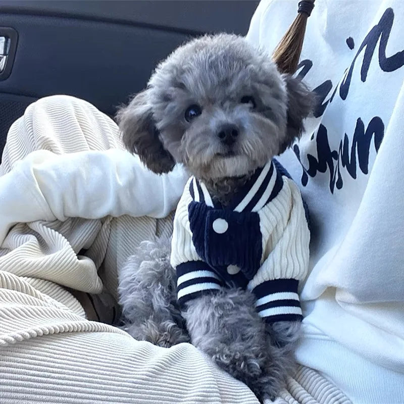 🌸 Süße Bestickte Pet Baseball-Jacke – Stylische Sommerjacke für kleine & mittelgroße Hunde 🐶☀️