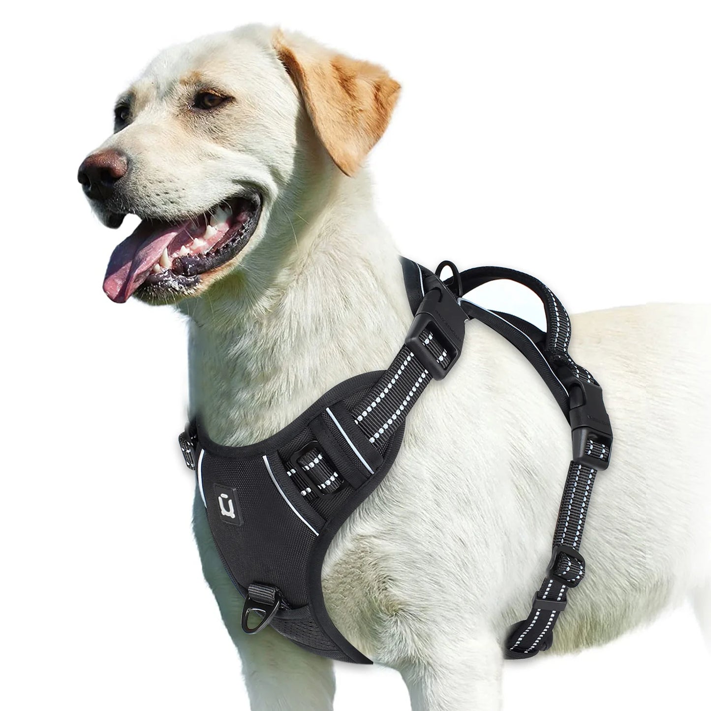 🐾💪 No-Pull Hundegeschirr – Gepolstertes Brustgeschirr mit Griff für volle Kontrolle 🐶🦺