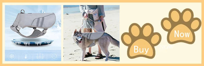 🐶❄️ Kühlweste für Hunde – Atmungsaktive Sommer-Kühlweste für heiße Tage ☀️