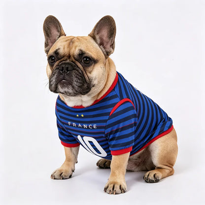 ⚽️ 🐶Hundetrikot – Leicht, Atmungsaktiv & Stylisch! ⚽️ 🐶
