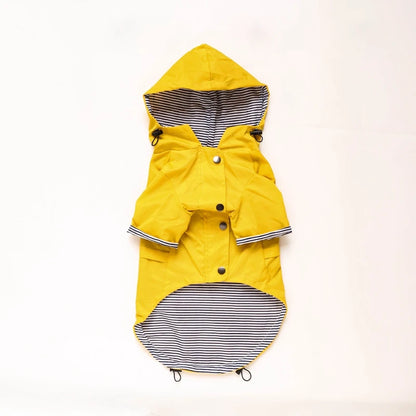 🐶✨Hundejacke – Stylisch, warm & wetterfest