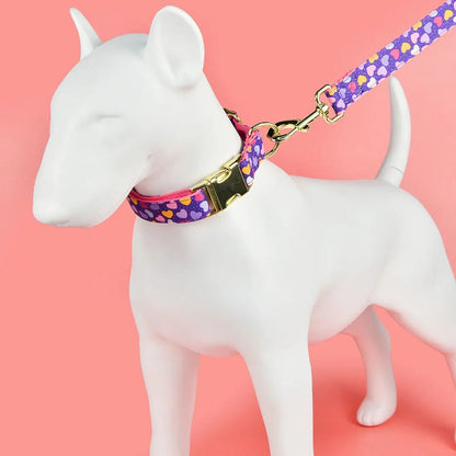 🐾 Verstellbares Luxus Hundehalsband & Leinen-Set – Bunt, Stylisch & Perfekt für den Sommer 🐶🌈☀️