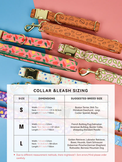 🐾 Verstellbares Luxus Hundehalsband & Leinen-Set – Bunt, Stylisch & Perfekt für den Sommer 🐶🌈☀️