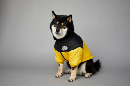 🐶🧥 Warme Hundejacke – Stylischer Schutz für kalte Tage!
