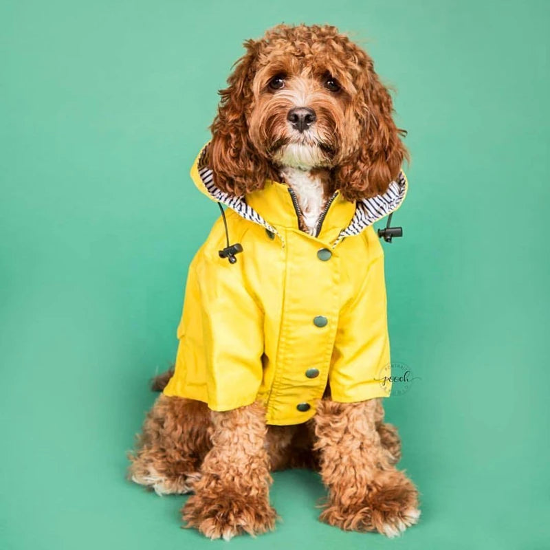 🐶✨Hundejacke – Stylisch, warm & wetterfest