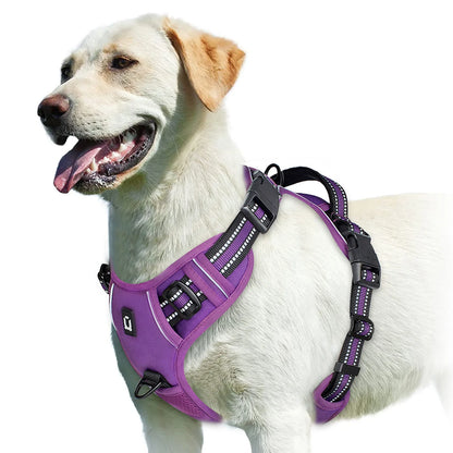 🐾💪 No-Pull Hundegeschirr – Gepolstertes Brustgeschirr mit Griff für volle Kontrolle 🐶🦺
