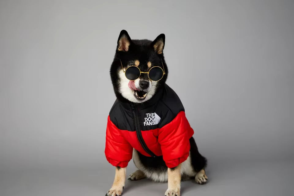 🐶🧥 Warme Hundejacke – Stylischer Schutz für kalte Tage!
