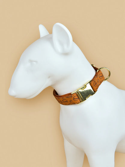 🐶🎀 Niedliches Haustier-Halsband für kleine & mittelgroße Hunde – Doppelseitig bedruckt für Hunde ✨