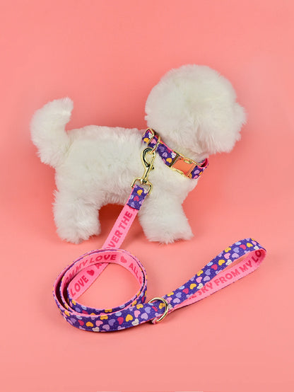 🐾 Verstellbares Luxus Hundehalsband & Leinen-Set – Bunt, Stylisch & Perfekt für den Sommer 🐶🌈☀️