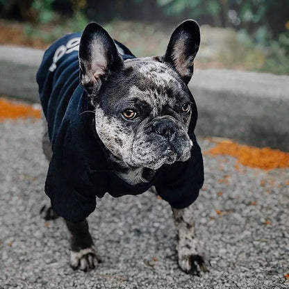 🐶💛 Bequemes süßes Polyester-Haustier-Shirt – Verschiedene Größen erhältlich 💙