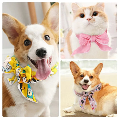 🐶❄️ Kühlendes Haustier-Halstuch – Erfrischendes Cooling-Tuch für Hunde