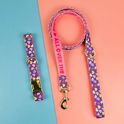 🐾 Verstellbares Luxus Hundehalsband & Leinen-Set – Bunt, Stylisch & Perfekt für den Sommer 🐶🌈☀️