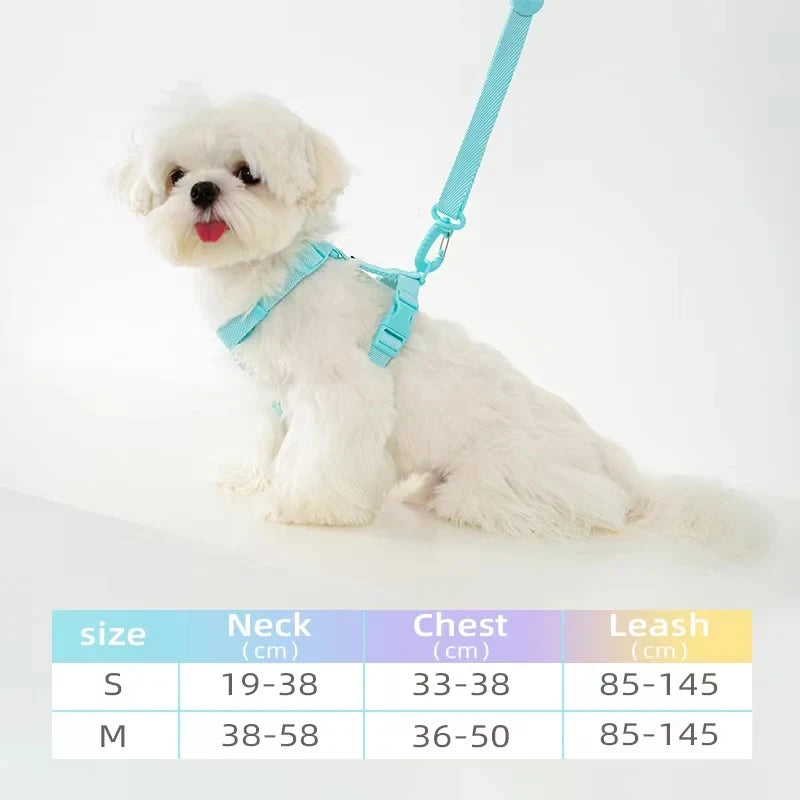 🐾🌈 Hundegeschirr Set mit Leine & Halsband – Verstellbar, Reflektierend, Pastell Macaron Farben für kleine Hunde 🐶💖