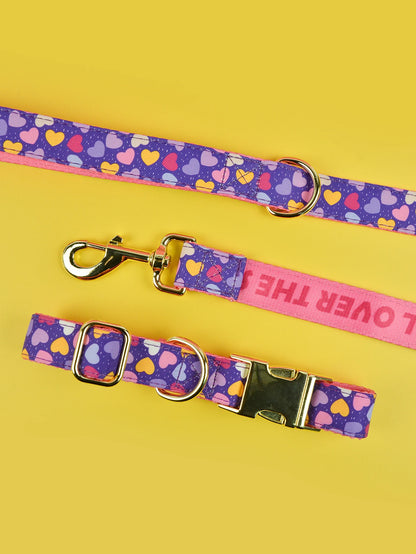 🐾 Verstellbares Luxus Hundehalsband & Leinen-Set – Bunt, Stylisch & Perfekt für den Sommer 🐶🌈☀️