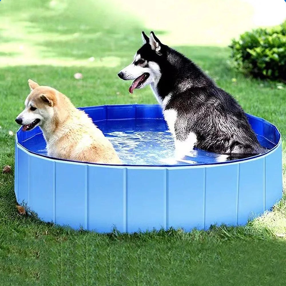 🐶💦 Faltbarer Hunde-Pool mit Ablassventil – Tragbare Haustier-Badewanne für drinnen & draußen 🌞