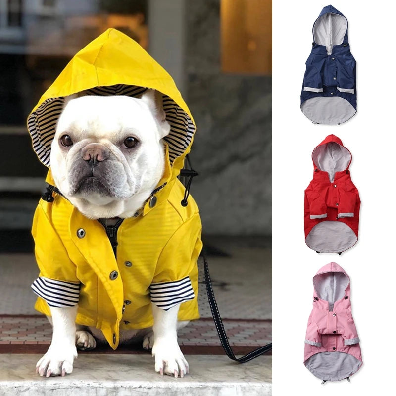 🐶✨Hundejacke – Stylisch, warm & wetterfest