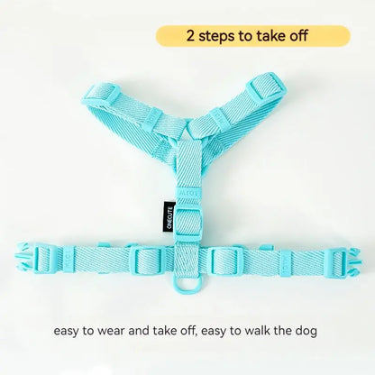 🐾🌈 Hundegeschirr Set mit Leine & Halsband – Verstellbar, Reflektierend, Pastell Macaron Farben für kleine Hunde 🐶💖