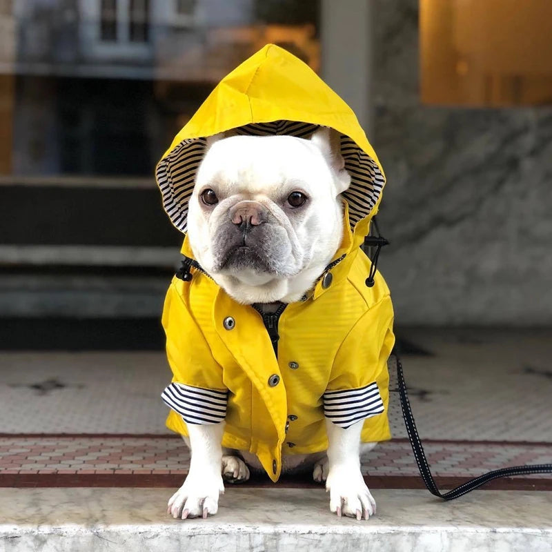 🐶✨Hundejacke – Stylisch, warm & wetterfest