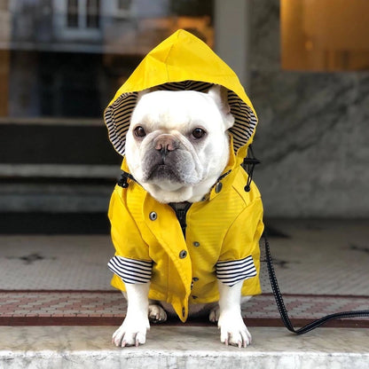 🐶✨Hundejacke – Stylisch, warm & wetterfest