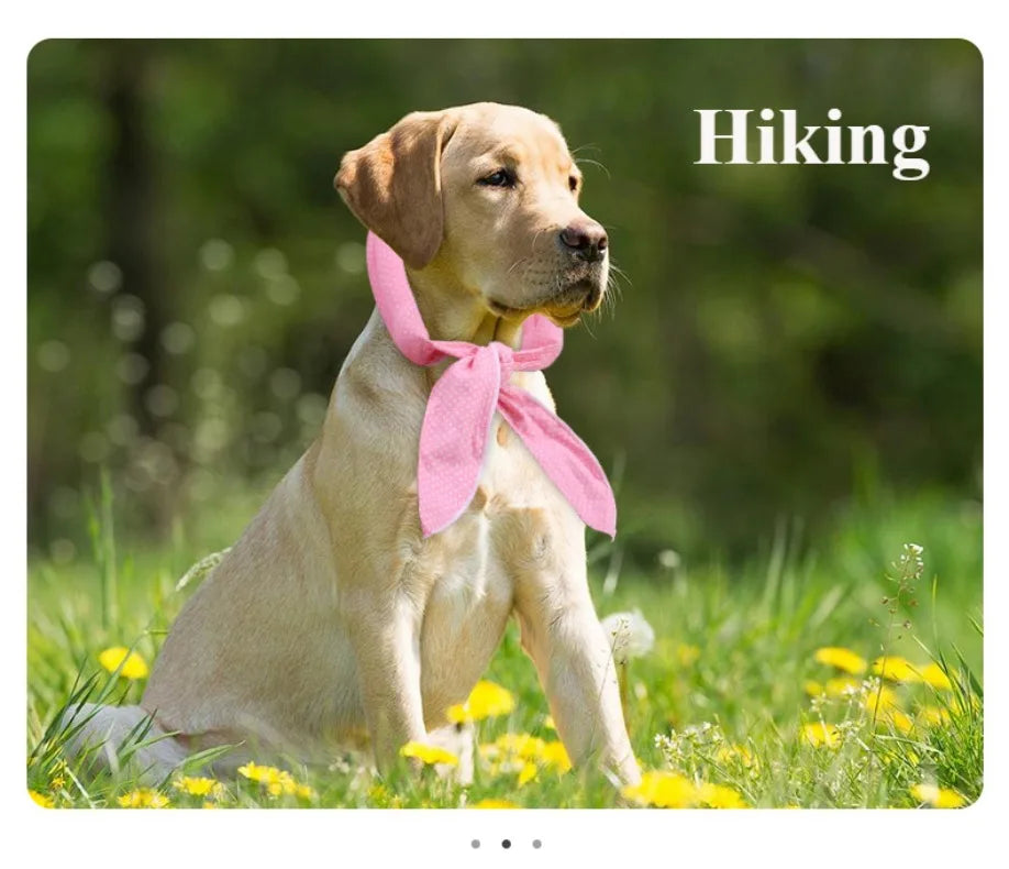 🐶❄️ Kühlendes Haustier-Halstuch – Erfrischendes Cooling-Tuch für Hunde